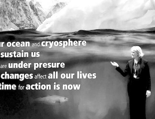 COP25